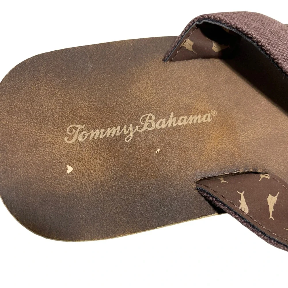 Tommy Bahama tommy bahama